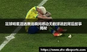 MLB》大谷翔平28轰出炉 携手楚奥特击败蓝鸟